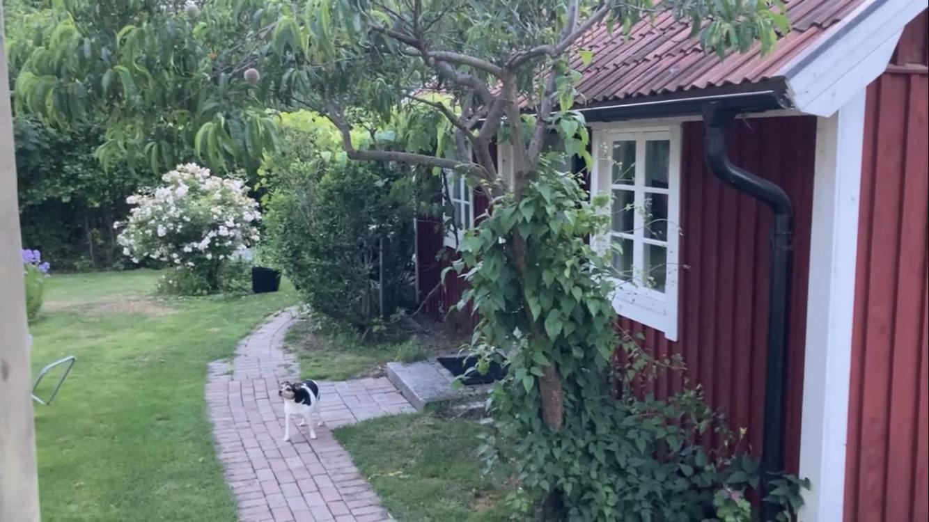 Isans Stuga Broby Zewnętrze zdjęcie
